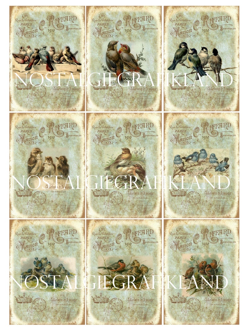 Birds printable digital Labels Vintage Robin Nest ATC Journaling Journals Scrapbook prints Instant Download digital collage sheet S118 image 3