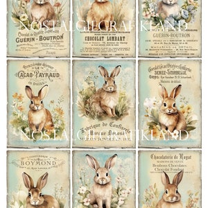 May include: A collage of nine vintage advertisements featuring illustrations of bunnies and text about chocolate and confectionery. The advertisements are in French and feature a light blue background with floral accents.