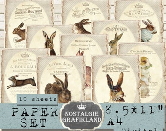Rabbits printable Papers French Hare Easter Bunnies Vintage Journaling Vintage digital sheet 8.5x11" PPS015