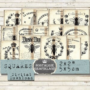 Bees Squares digital Honey Bee Queen Bee Country Abeille 2x2 inch Instant Download digital collage sheet TW166