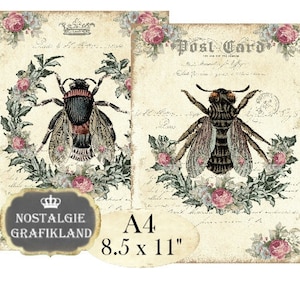 Shabby Chic Bee Insect Beekeeping Honey A4 Decoupage printable Instant Download digital collage sheet A127