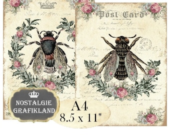Shabby Chic Bee Insect Beekeeping Honey A4 Decoupage printable Instant Download digital collage sheet A127