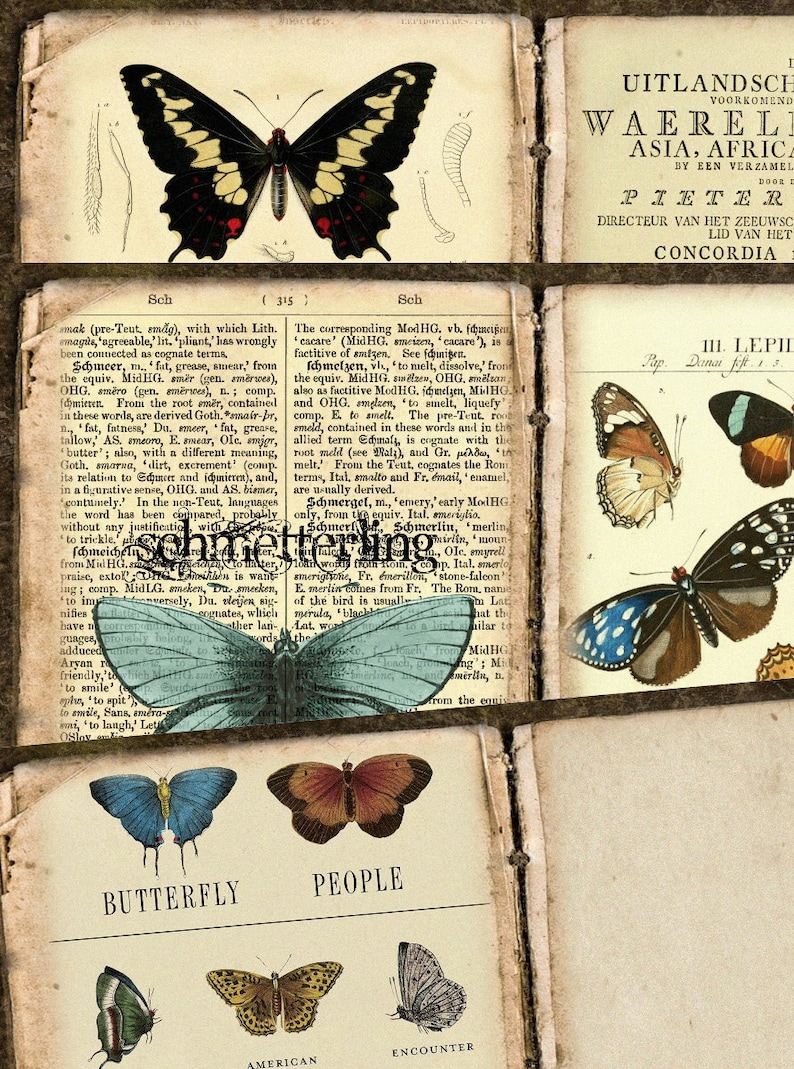 BUTTERFLIES Journal Pages Antique Vintage Butterfly Etsy