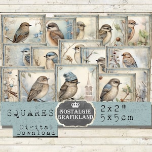 Winter Birds stampabile Squares Snow Tit Robin Bluebird Journaling 2x2 pollici Cardmaking Scarica il foglio di collage digitale TW111
