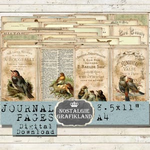 Páginas de diário de PÁSSAROS para impressão Ornitologia antiga Pássaro vintage Coruja Robin Oiseaux Ephemera Journaling folha digital para impressão JPA080