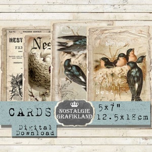 Nest Vögel Vintage Decoupage Karten Papier Ephemera 18 x 12,5 cm Instant Download digital collage sheet G019