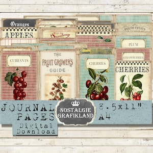 Früchte Obst Rezepte Buch Vintage Journal sheets Paper Pack Download digital collage sheet JPA086