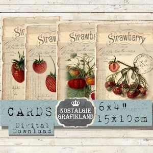 Fruits Strawberries Jam Confiture Marmalade printable 6x4 inch Instant Download digital collage sheet D210