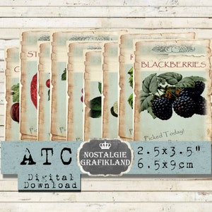 Fruits printable Strawberries Journaling Elements Embellishments Papercraft ATC Instant Download digital collage sheet S061