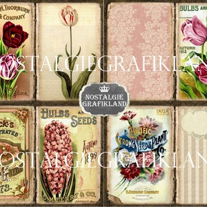 May include: Vintage collage of six botanical illustrations featuring various flowers and plants. The images include tulips, hyacinths, carnations, and other floral designs. The illustrations are in a vintage style with faded colors and text.
