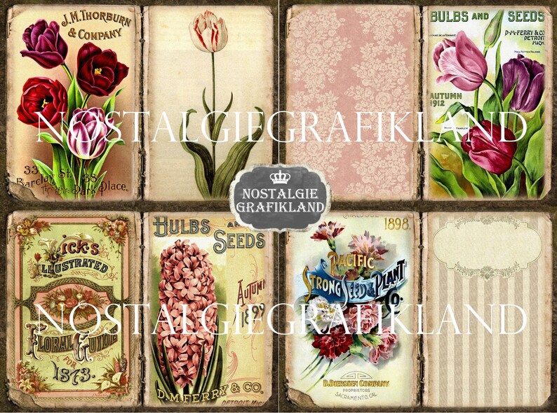 May include: Vintage collage of six botanical illustrations featuring various flowers and plants. The images include tulips, hyacinths, carnations, and other floral designs. The illustrations are in a vintage style with faded colors and text.