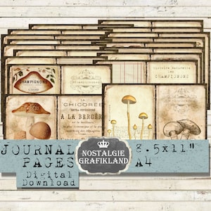 Champignons carnet pages champignon champignon champignon vintage mycologie jardin botanique feuille d'automne livre éphémères imprimable collage numérique JPB020