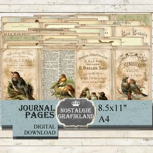 BIRDS Journal Pages printable Antique Ornithology Vintage Bird Owl Robin Oiseaux Ephemera Journaling JPA080
