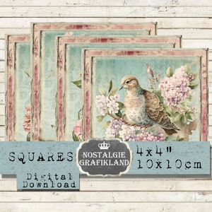 Sous-verre numérique oiseaux carrés moineaux colombe hirondelle 4 x 4 pouces imprimable téléchargement immédiat feuille de collage numérique TG145