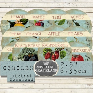 Obst Kreise 6,3 cm Früchte Marmelade Erdbeeren Himbeeren Download digital collage sheet C206