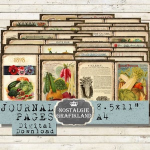 Páginas imprimibles del diario de verduras Manual de jardinería Semillas Plantas Jardín Agricultura Granja Efímeras Impresiones Descargar hojas digitales JPB025