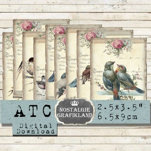 Feuille de collage numérique Shabby Chic oiseaux pour journalisation Tit Robin Elements Téléchargement instantané S158