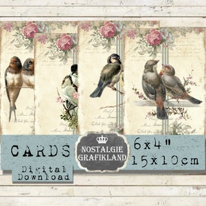 Vögel digital Shabby Chic Birds  Ornitologie 15 x 10 cm Instant Download digital collage sheet D105