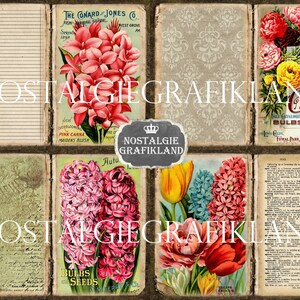May include: A vintage collage of floral seed packets and a page from an old book. The packets feature illustrations of pink and red flowers, with text that includes "The Conard Jones Co." and "Pink Canna Maidens Blush". The book page has text in black and white.