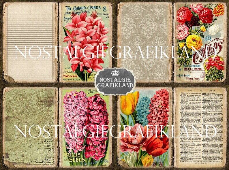 May include: A vintage collage of floral seed packets and a page from an old book. The packets feature illustrations of pink and red flowers, with text that includes "The Conard Jones Co." and "Pink Canna Maidens Blush". The book page has text in black and white.