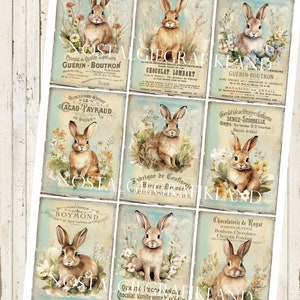 May include: Nine vintage-style illustrations of bunnies with floral accents. Each illustration features a bunny with brown fur and a white tail, surrounded by flowers and greenery. The illustrations are set against a light blue background with text in French.