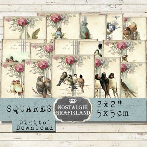 Oiseaux carrés numériques 2x2 pouces Shabby Chic Spring Télécharger la feuille de collage numérique TW107