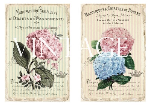 Hydrangea Hortensia Flowers Old Vintage Paper 6 X 4 Inch - Etsy