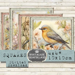 Vogels pleinen afdrukbare Spring Birds Coaster 4x4 inch Instant Download digitale collage blad TG140