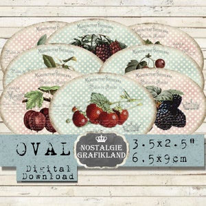 Fruit Jam digitale Shabby Chic afdrukbare ovale etiketten marmelade ovale 3,5x2,5 inch download digitale collage blad O171