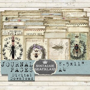 BEE Vintage Journal Pages Vintage Ephemera stampabile Ape regina Api mellifere Apicoltura Insetti Scarica foglio collage digitale JPA020