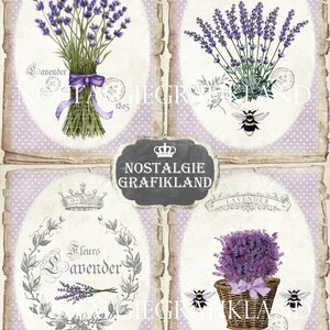 May include: A collage of four vintage-style images featuring lavender flowers, bees, and text in French. The images are set against a background of light purple with white polka dots. The text includes "Provence", "Lavender", "Fleurs Lavender", and "Aux Fleurs".