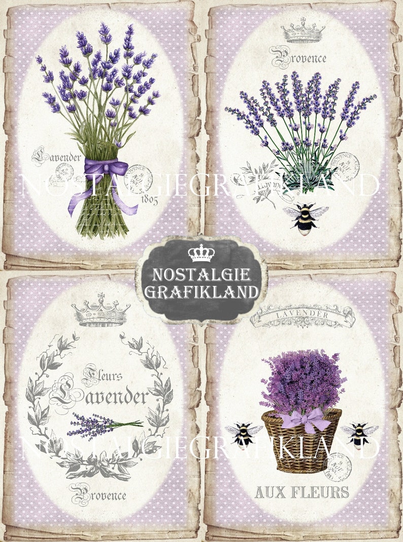 May include: A collage of four vintage-style images featuring lavender flowers, bees, and text in French. The images are set against a background of light purple with white polka dots. The text includes "Provence", "Lavender", "Fleurs Lavender", and "Aux Fleurs".