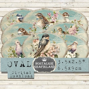 Étiquettes d’oiseaux imprimables numériques Sparrow Dove Swallow Ovals Shabby Chic Journaling Télécharger 3,5x2,5 pouces feuille de collage numérique O127