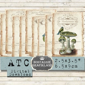 Journal numérique imprimable Champignons Toadstool Elements Embellishments Papercraft ATC Télécharger le collage numérique S014