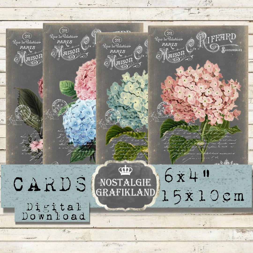 Hydrangea Printable Chalkboards Hortensia French Flowers Cards Fleurs ...