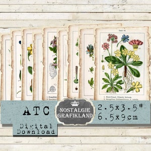 Botanical printable ATC Botany German Flora Flowers Journaling Scrapbook Wild Flowers prints Download ATC digital collage sheet S006