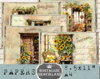 May include: A set of four digital papers featuring vintage-style illustrations of sunflowers, windows, and a rustic wooden door. The papers are designed in a light beige and brown color scheme with a distressed, vintage look. The papers are 8.5 inches by 11 inches and are perfect for scrapbooking, card making, and other paper crafts.
