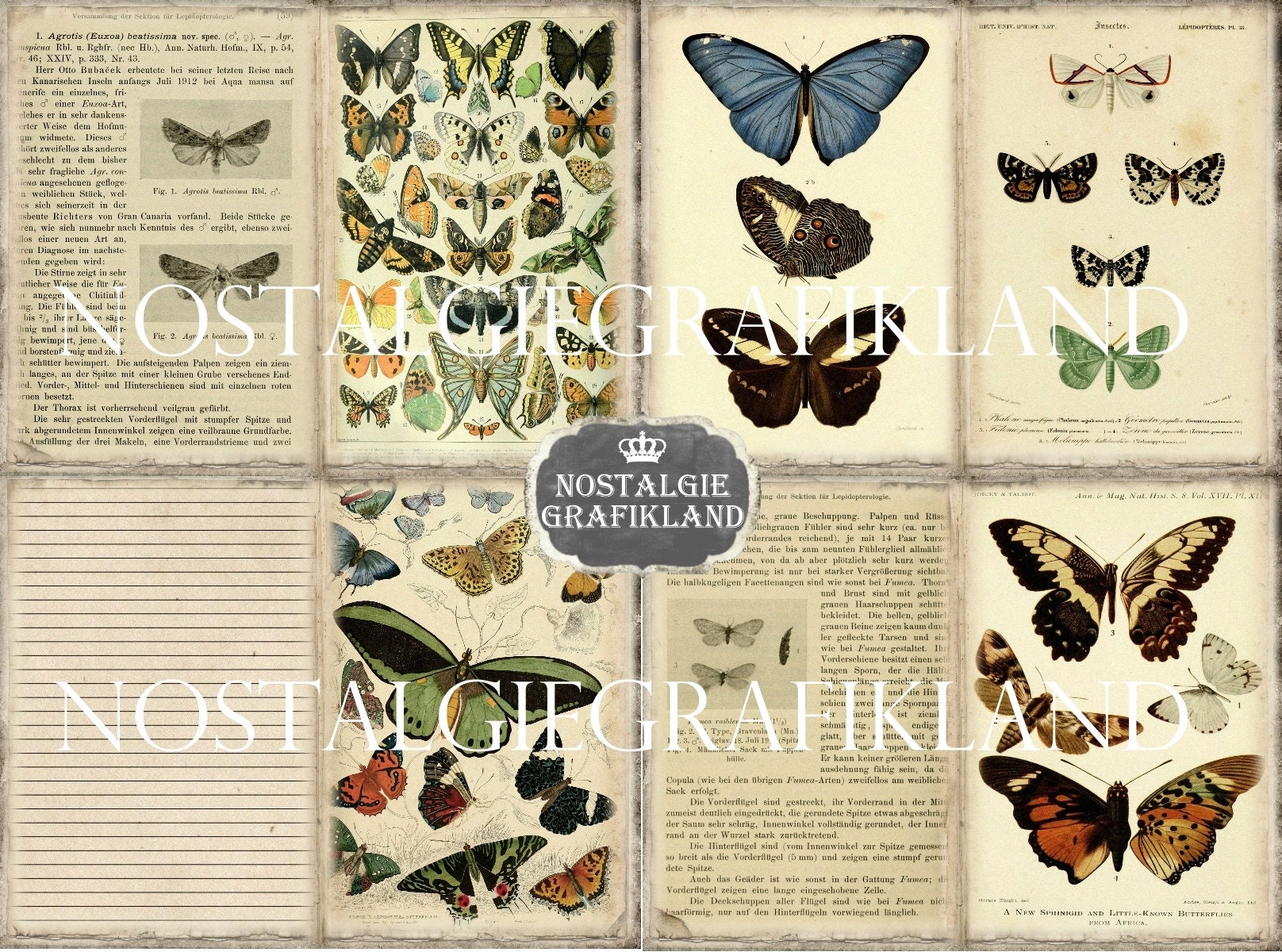 Rose Butterfly Vintage Literary Handbook Collage Decorative - Temu