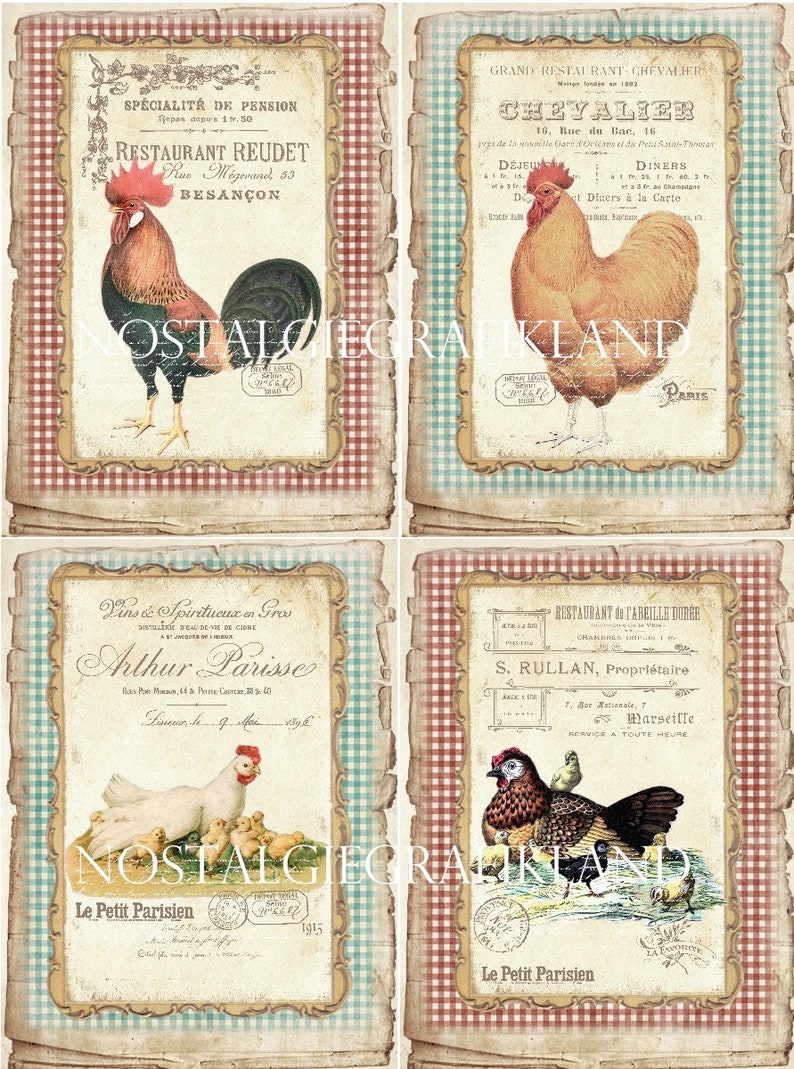 Rooster printable Hen Fresh Eggs Farm Papers Shabby Chic Vintage Large Image Digital Download digital collage sheet 8.5x11 PP169