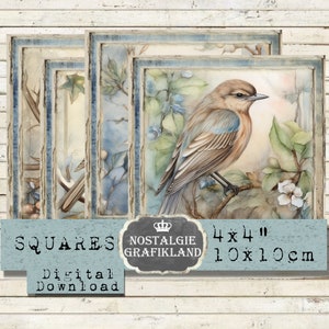 Vögel Shabby Chic Vintage Winter Vögel 10x10 cm Instant Download digital collage sheet TG115