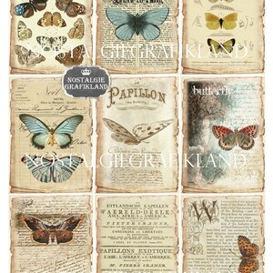 K&ouml;nnte beinhalten: Eine Collage aus Vintage-Bildern mit Schmetterlingen und Text. Die Bilder sind im verwitterten, antiken Stil mit cremefarbenem Hintergrund gehalten. Der Text enth&auml;lt die W&ouml;rter "Nostalgie Grafikland", "Le Papillon" und "butterfly".