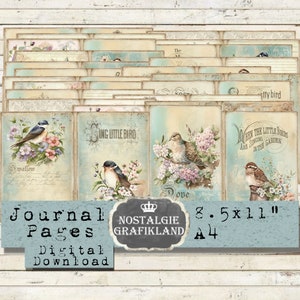 Pages de journal OISEAUX imprimables Shabby Chic Springbirds Colombe Hirondelle Bruant Rouge-gorge Télécharger feuille de collage numérique JPA070