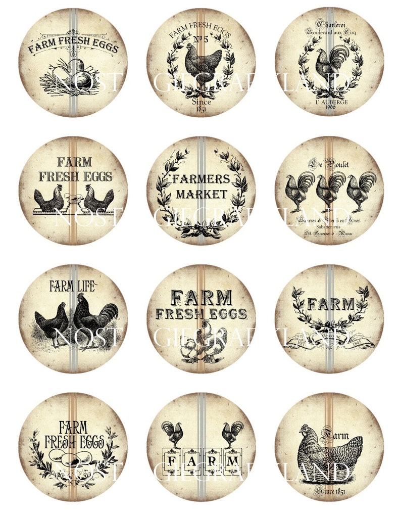 Farm Fresh Eggs Rooster Hen Circles 2 inch digital collage sheet download C097 Le Coq Poulet Ferme