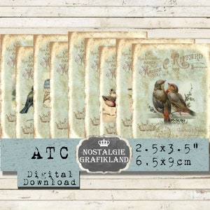Oiseaux étiquettes numériques imprimables vintage Robin Nest ATC Journaling Journaux Scrapbook imprime Téléchargement instantané feuille de collage numérique S118