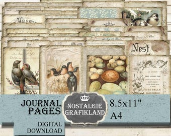 BIRDS Journal Pages Songbirds Eggs Nest printable Journaling Download JPA007