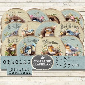 Vogels Cirkels Vintage Nestling Nest Journaling Springbirds Download digitaal collageblad C204