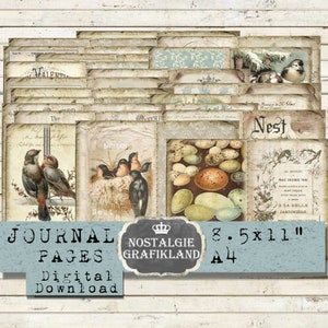 BIRDS Vintage Journal Pages stampabile Vintage Ephemera Uccelli canterini Uova Nido Scarica foglio collage digitale JPA007