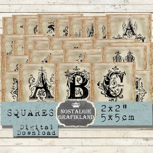 Alfabet vierkanten afdrukbare Twinchies ABC Monogram eerste 2x2 inch vierkanten Instant Download digitale collage blad TW123