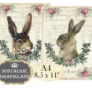 Conejos digitales Liebre Conejitos de Pascua Lapin Lievre Shabby Chic A4 Decoupage imprimible Descarga instantánea hoja de collage digital A138