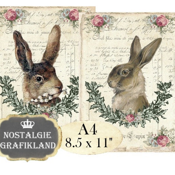 Rabbits digital Hare Easter Bunnies Lapin Lievre Shabby Chic A4 Decoupage printable Instant Download digital collage sheet A138